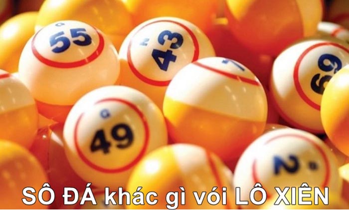 Phân biệt số đá và lô xiên
